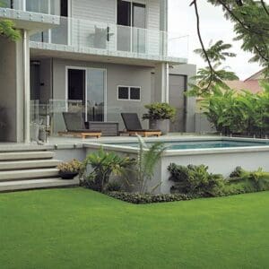 Augusta® Zoysia Lawn / m²