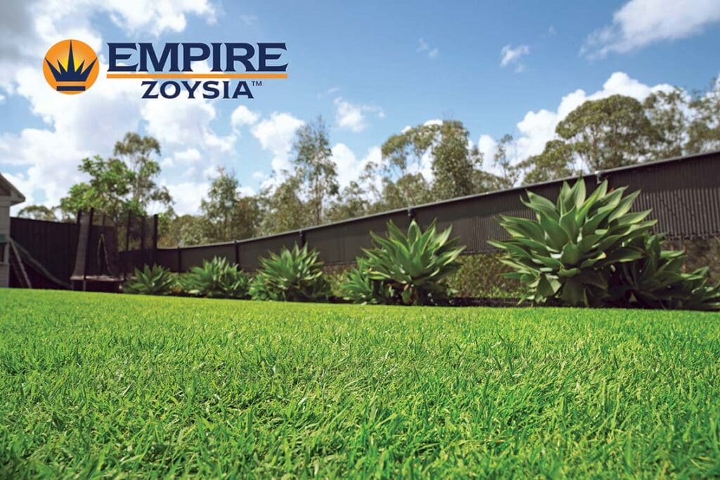Empire™ Zoysia