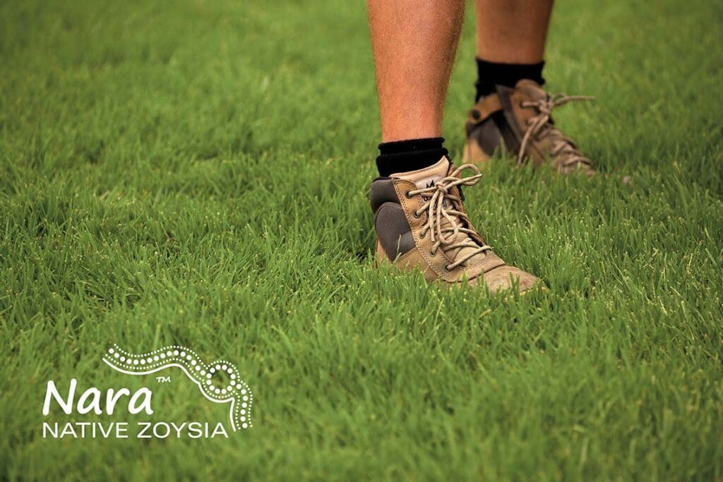 Nara™ Native Zoysia / m²