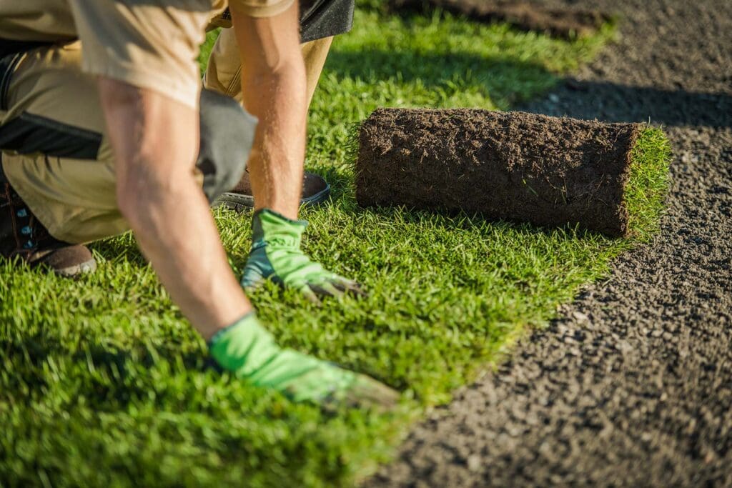 Laying turf